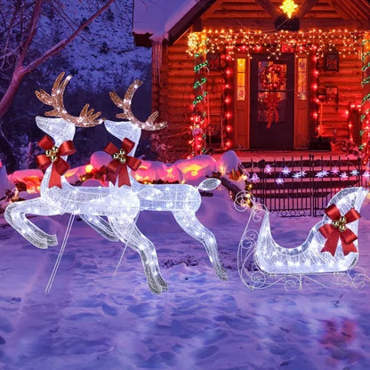 3-Piece Lighted Set Of 2 Reindeer