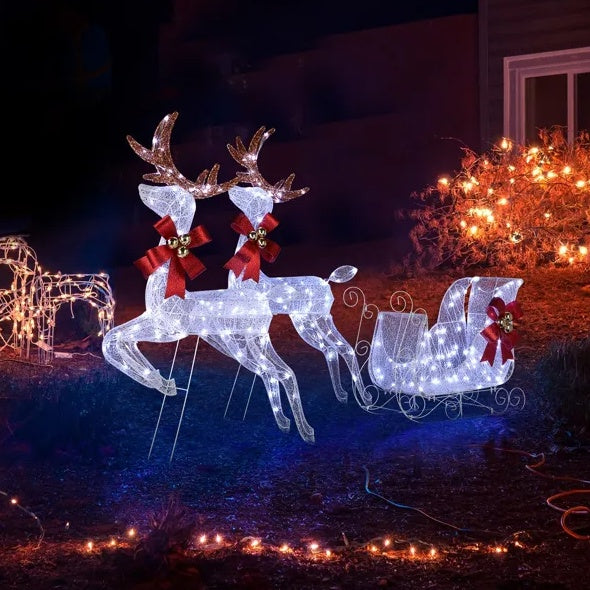 3-Piece Lighted Set Of 2 Reindeer