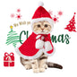 Cat Christmas Outfits, Dog Cat Santa Claus Outfit