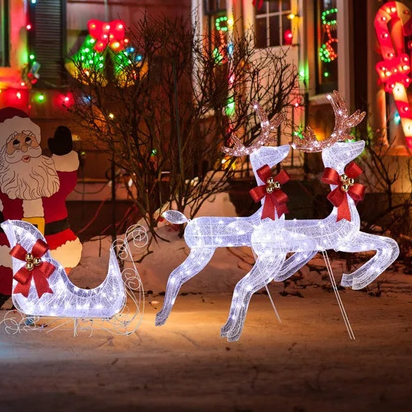 3-Piece Lighted Set Of 2 Reindeer